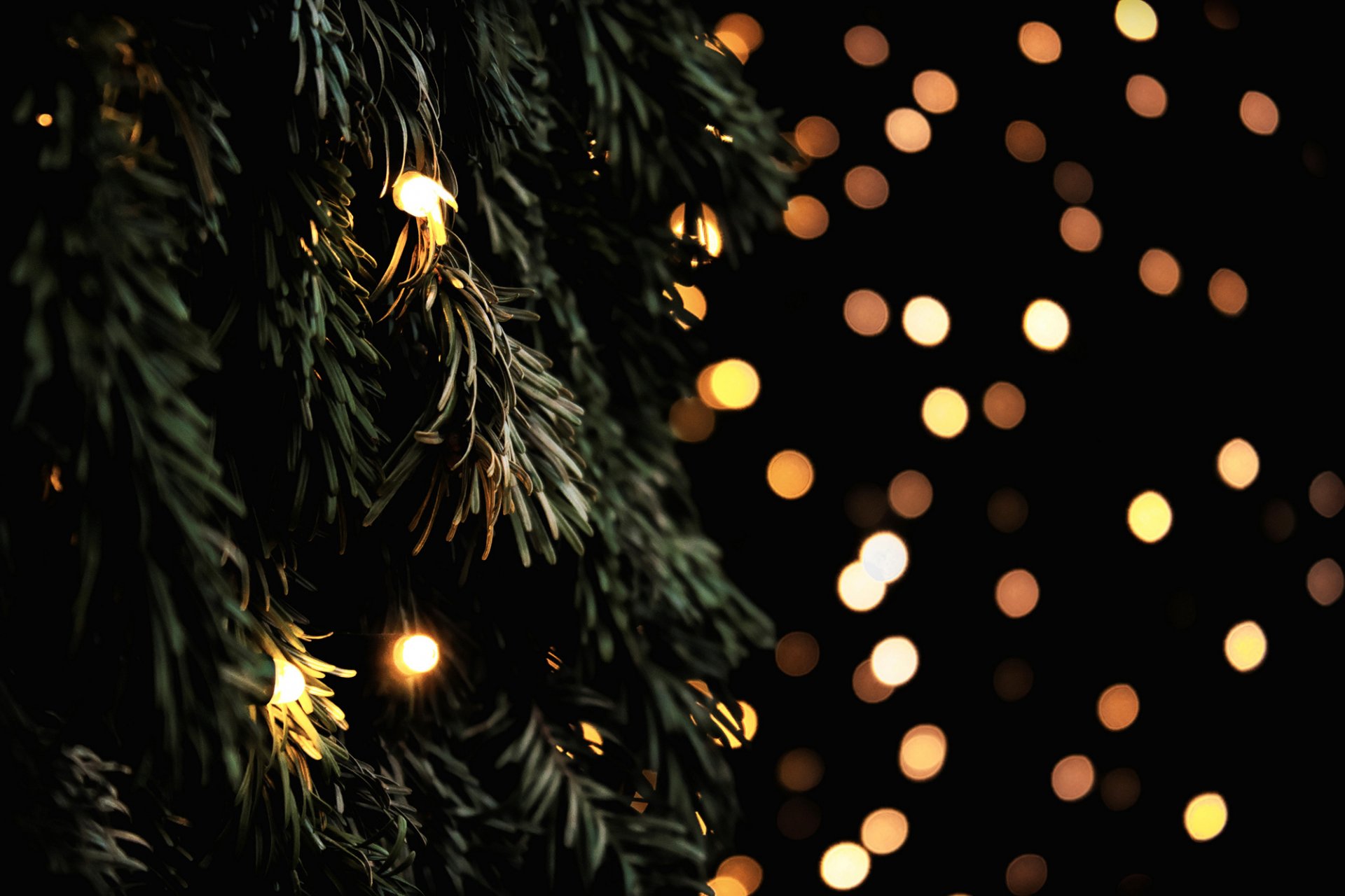 christmas tree spruce branches garland lights yellow bokeh