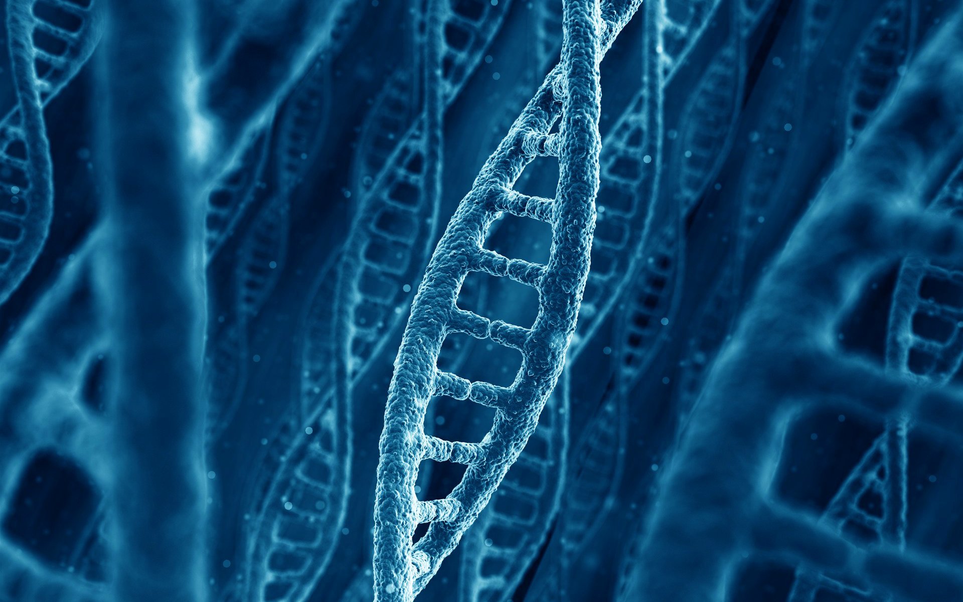 cząsteczka dna łańcuch natura