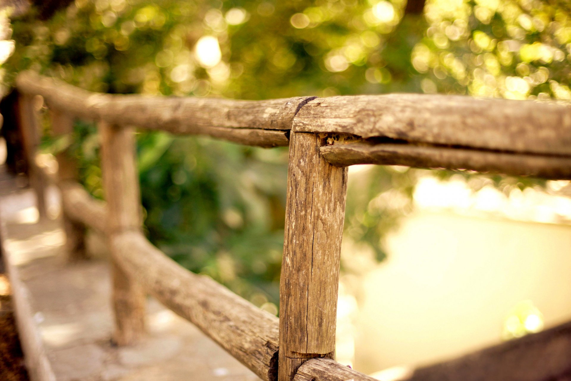 recinzione recinzione legno verde alberi bokeh