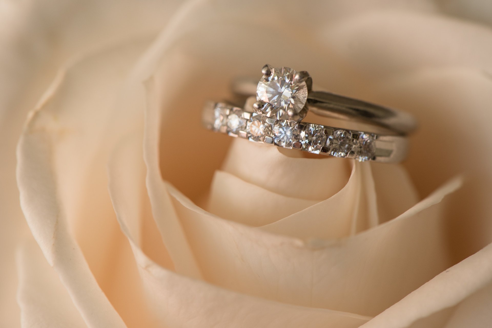 wedding rings rose flower