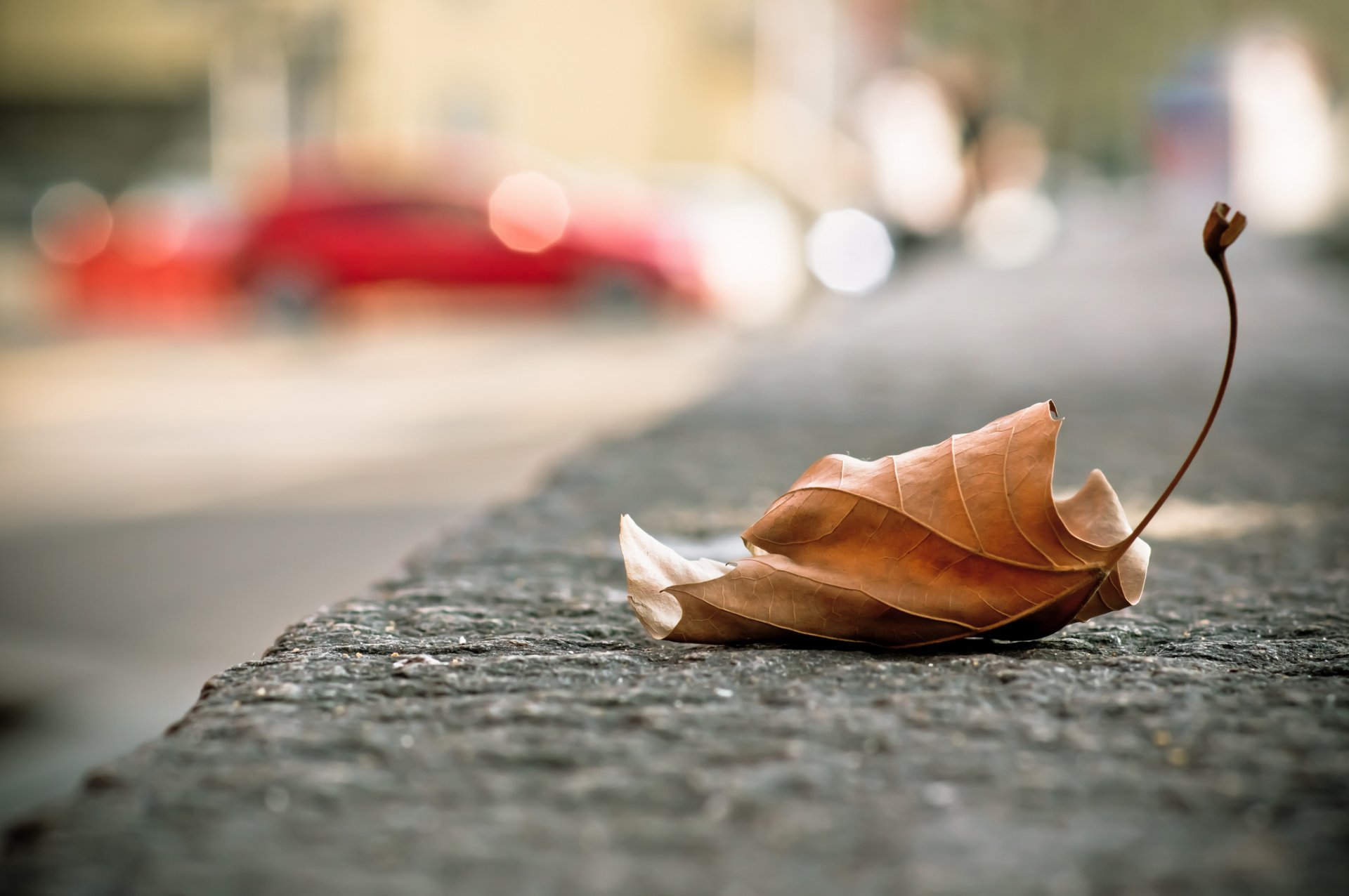 town street sheet fallen autumn