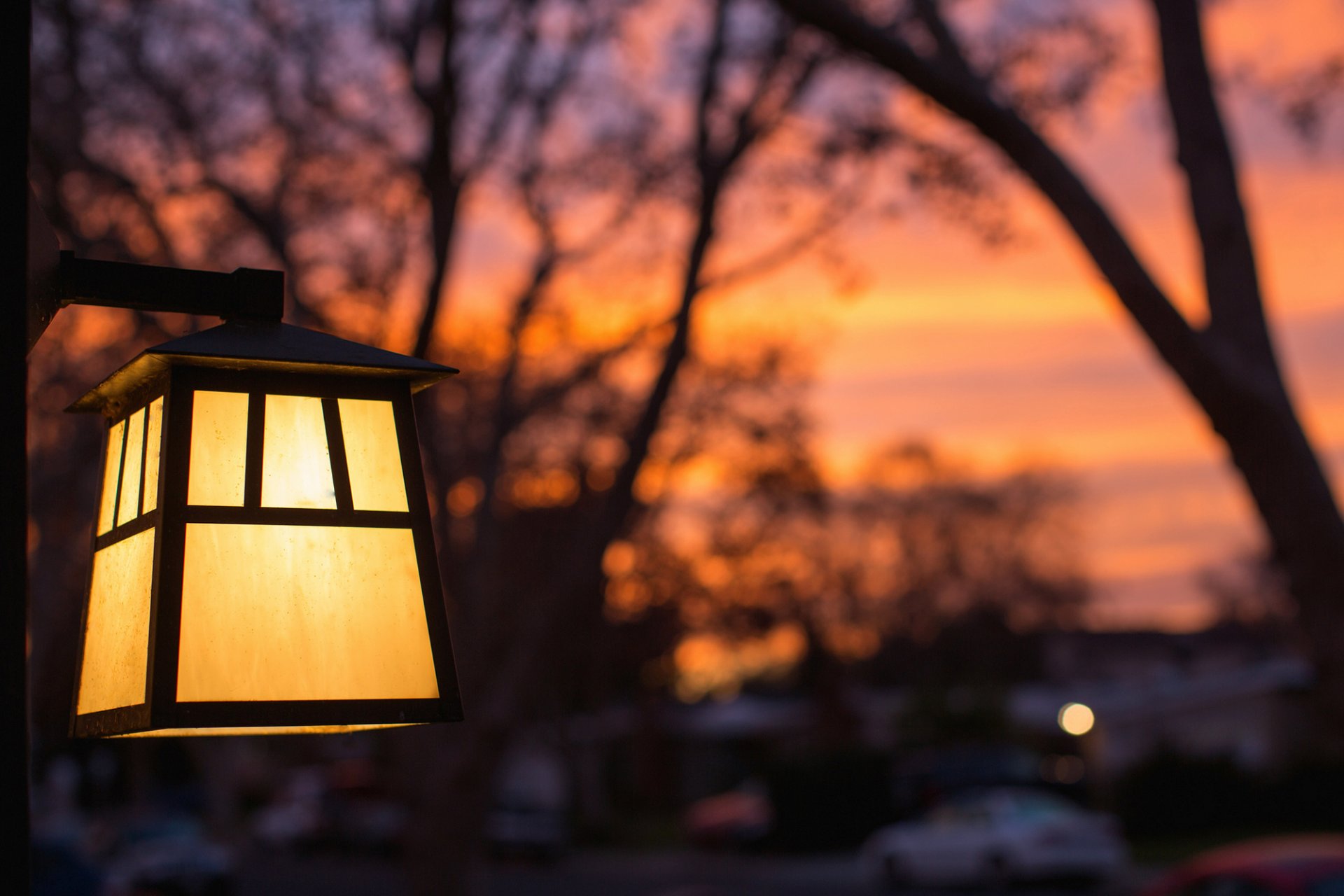 lanterne lumière jaune gros plan arbres soirée coucher de soleil flou