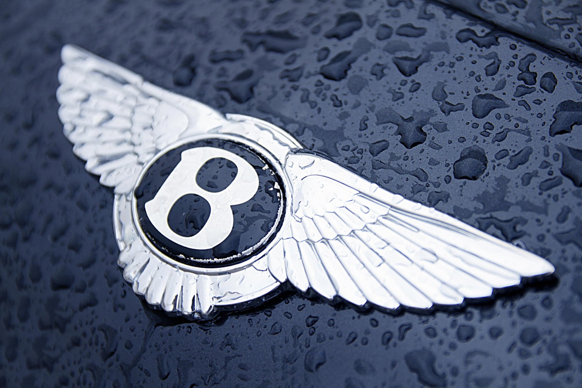 logo distintivo cappuccio gocce acqua bentley