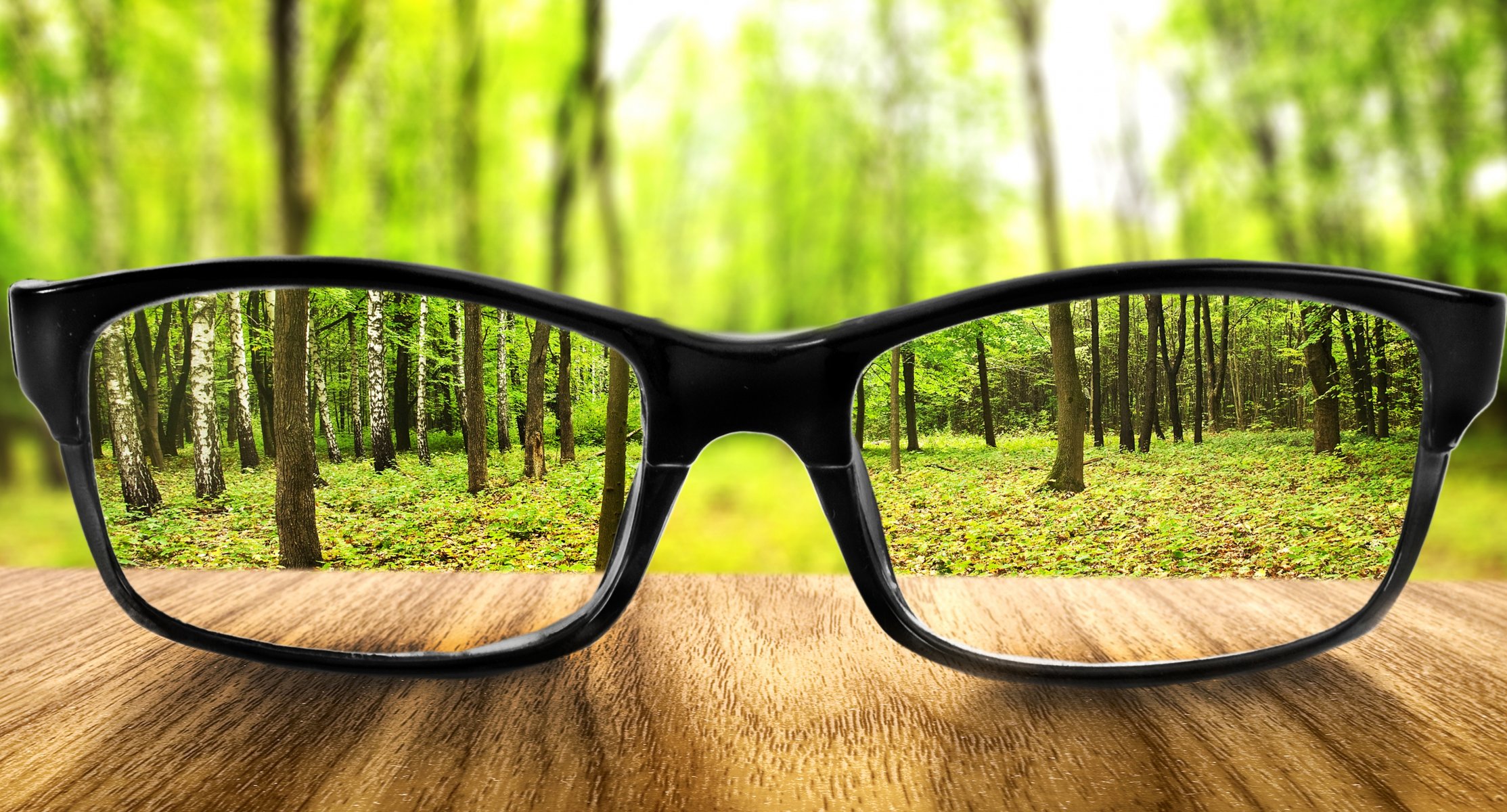 lunettes netteté arbres forêt verdure