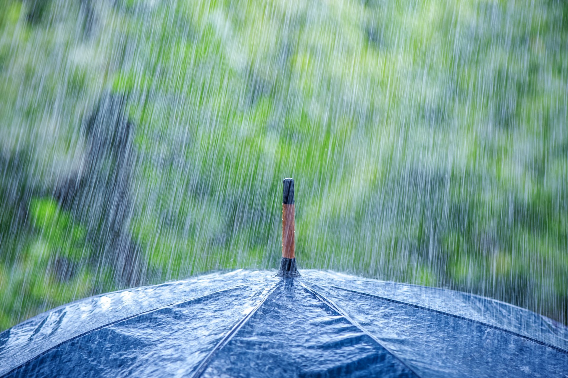 macro rain downpour umbrella