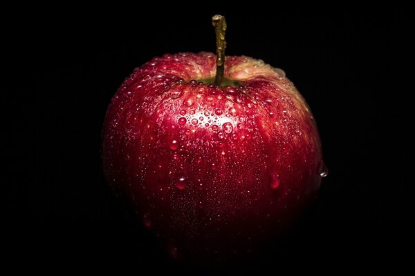 Pomme mouillée. Avec des gouttes de rosée. Pomme rouge sur fond noir