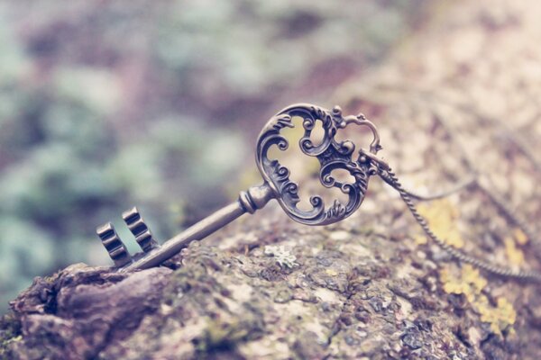 Big key and tree macro photography