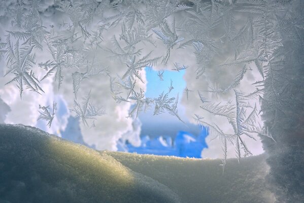 Foto von Winterschneeflocken unter Vergrößerung