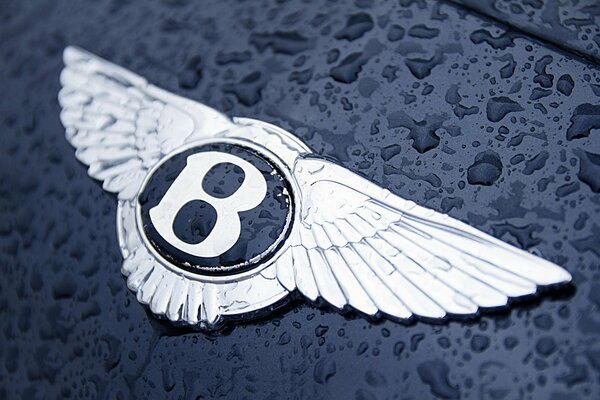 Logo in the shape of bird wings on the background of water droplets