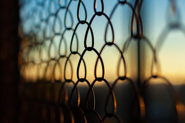 Macro photo of a lattice on a sunset background