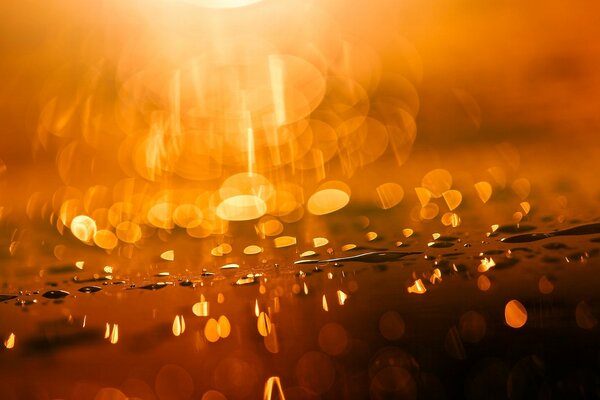 Wassertropfen leuchten im Licht