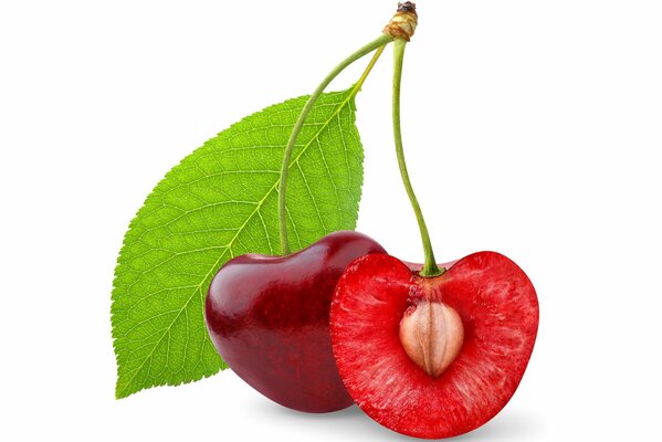 Two cherries with a leaf