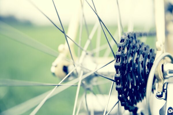 Foto detallada de la rueda de la bicicleta