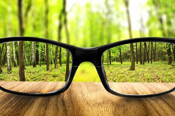 Glasses on a wooden table in the forest