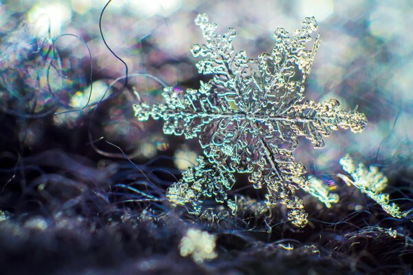 Gros plan de flocon de neige sur fond de reflets