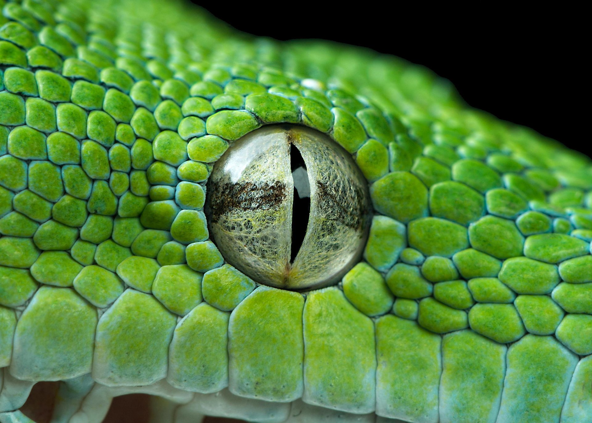 eye python