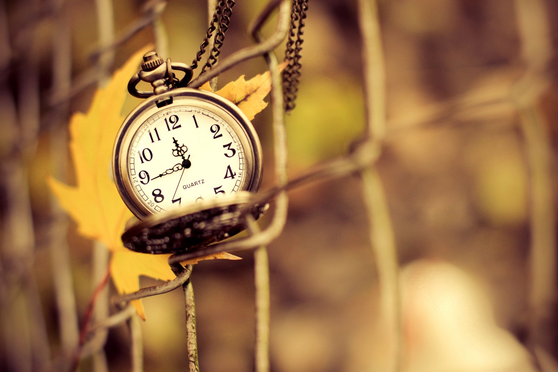 reloj colgante dial manos tiempo cerca malla hoja amarillo otoño macro naturaleza