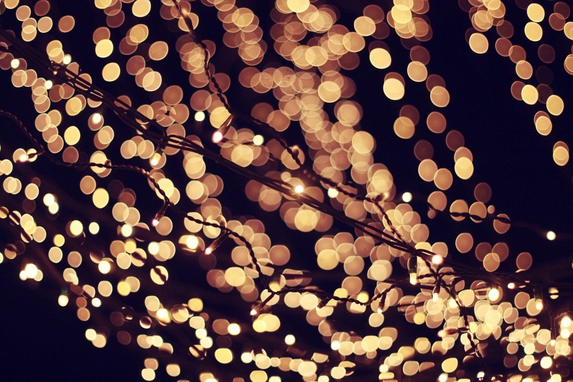 garland lights bokeh evening night light holiday