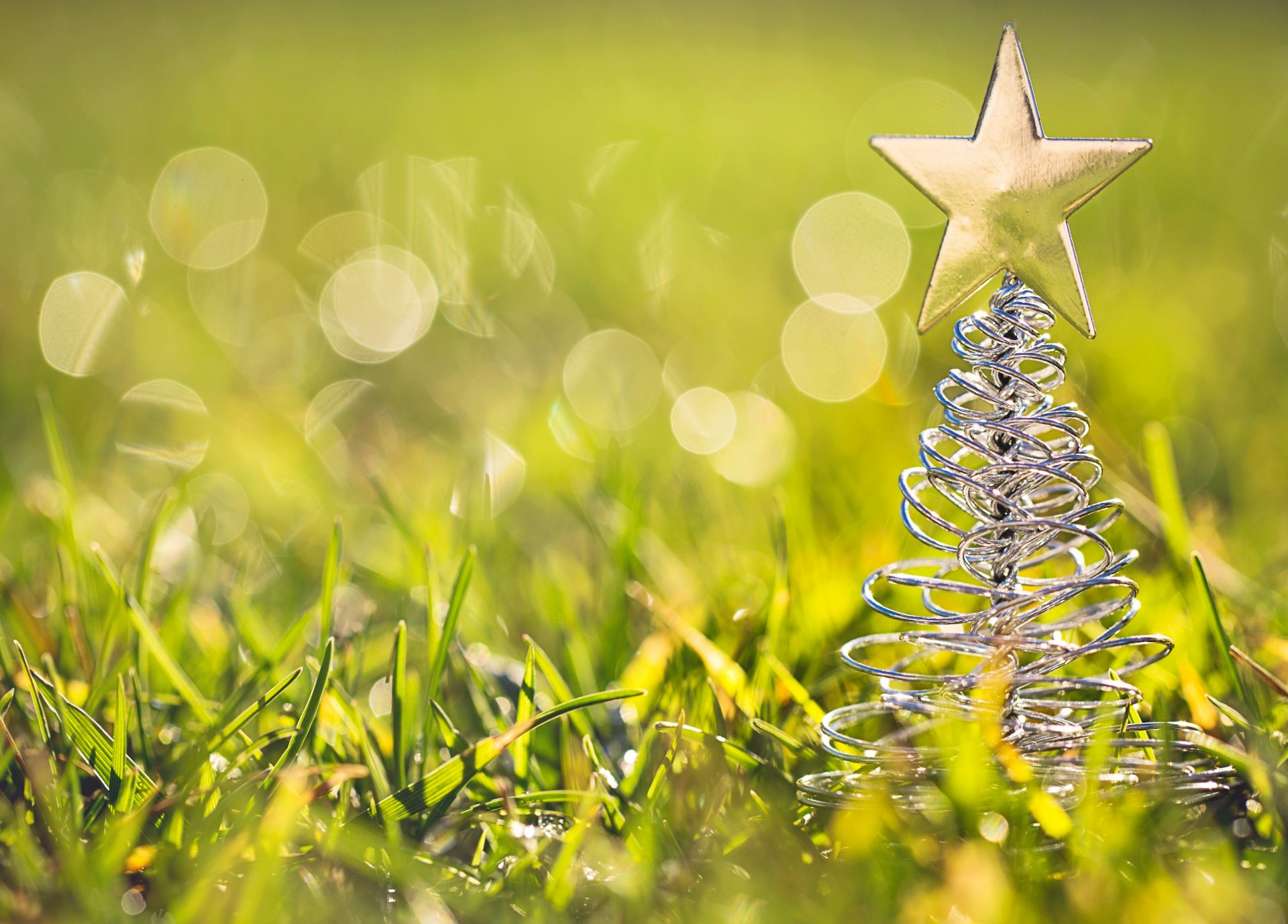 arbre de noël jouet figurine étoile herbe vert bokeh gros plan