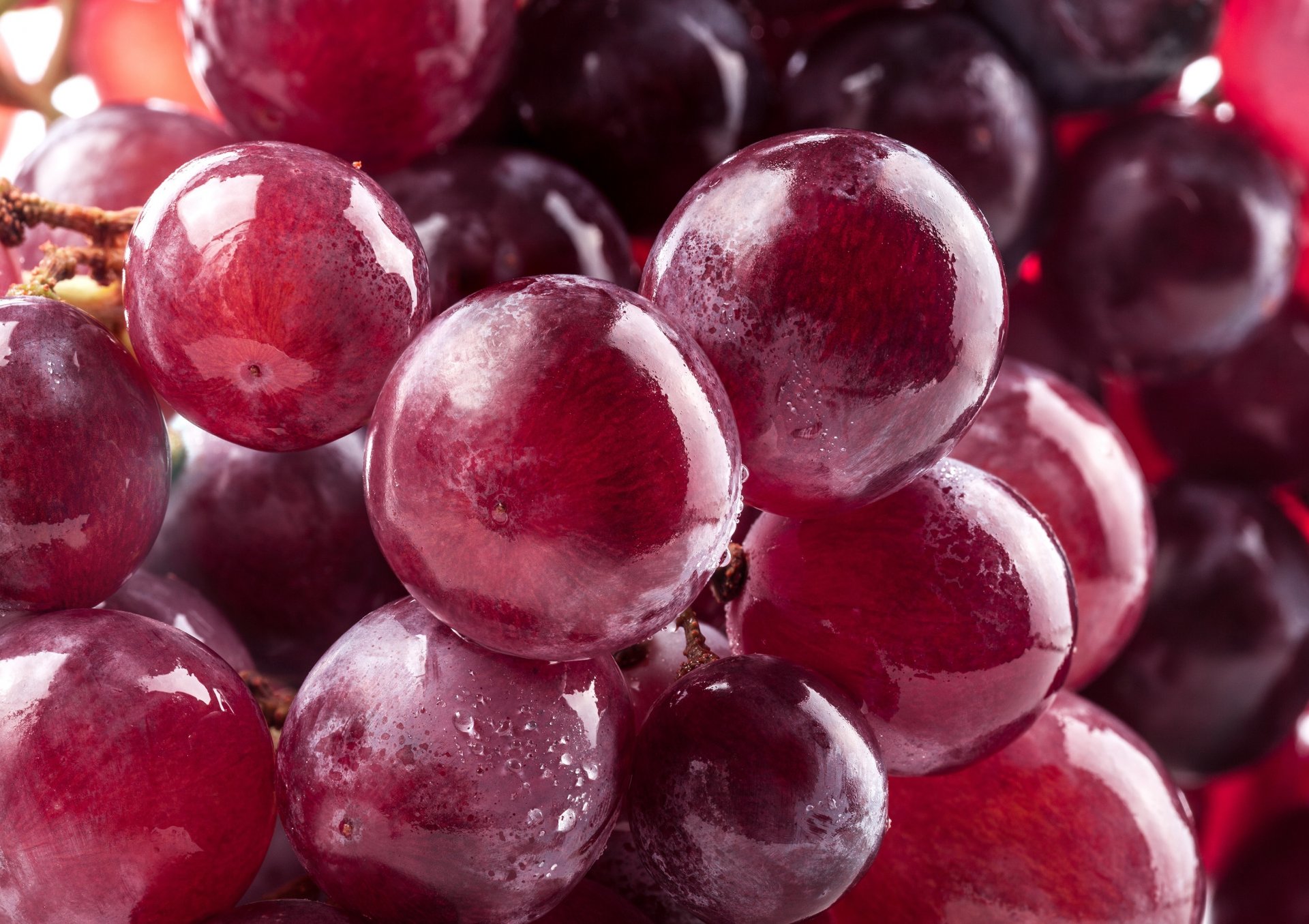 grapes red berries bunch of close up