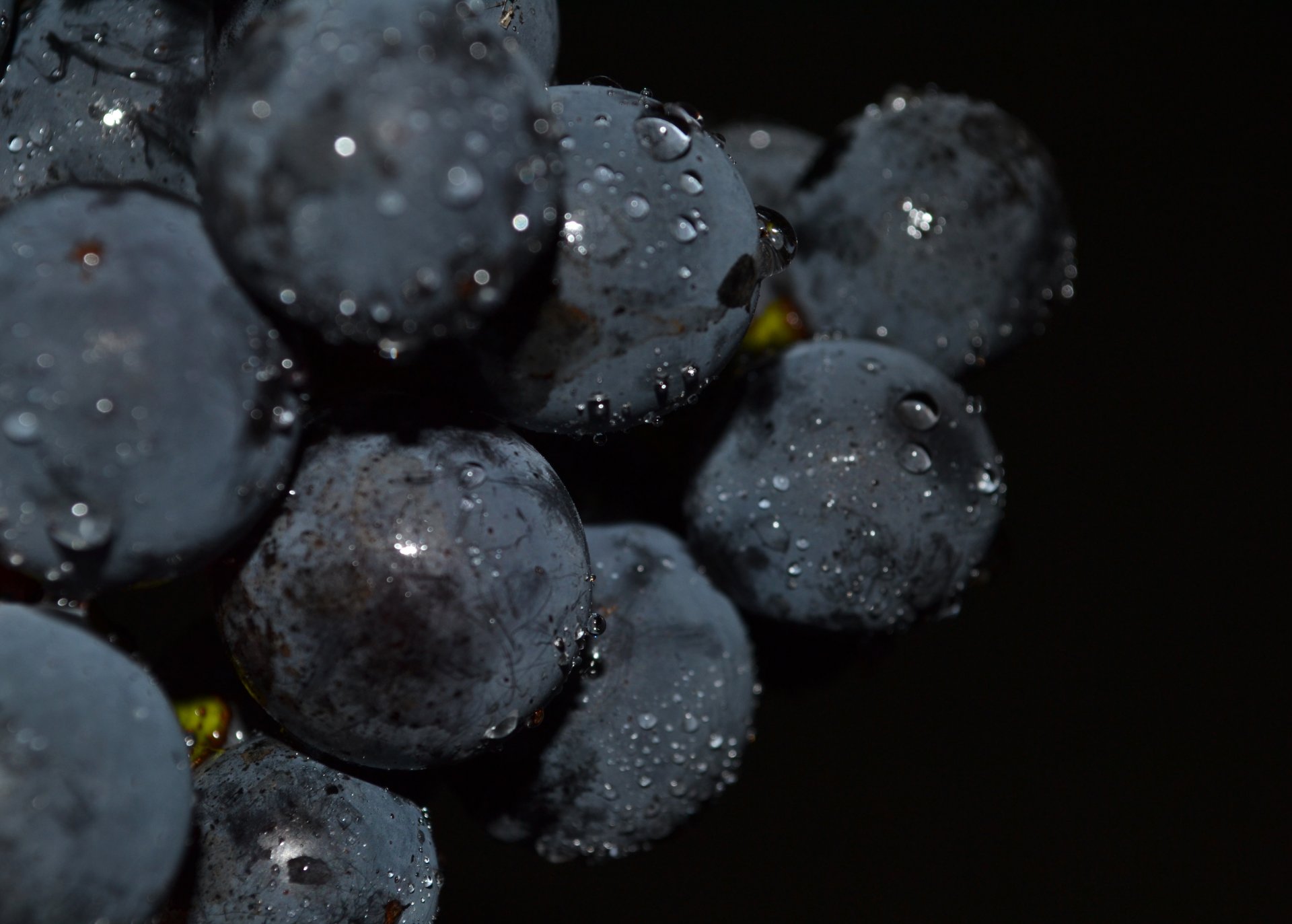 grapes black background close up drop