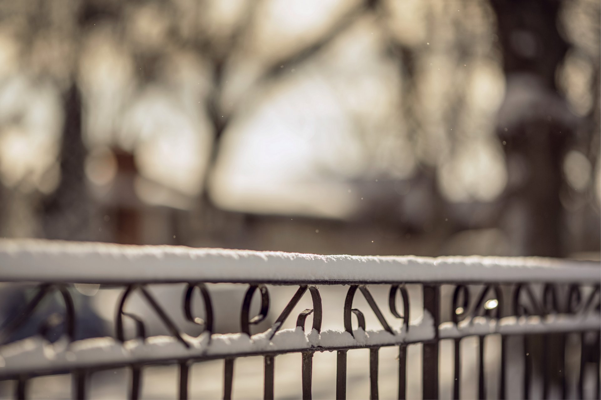 fence bars fence snow winter nature macro blurrine