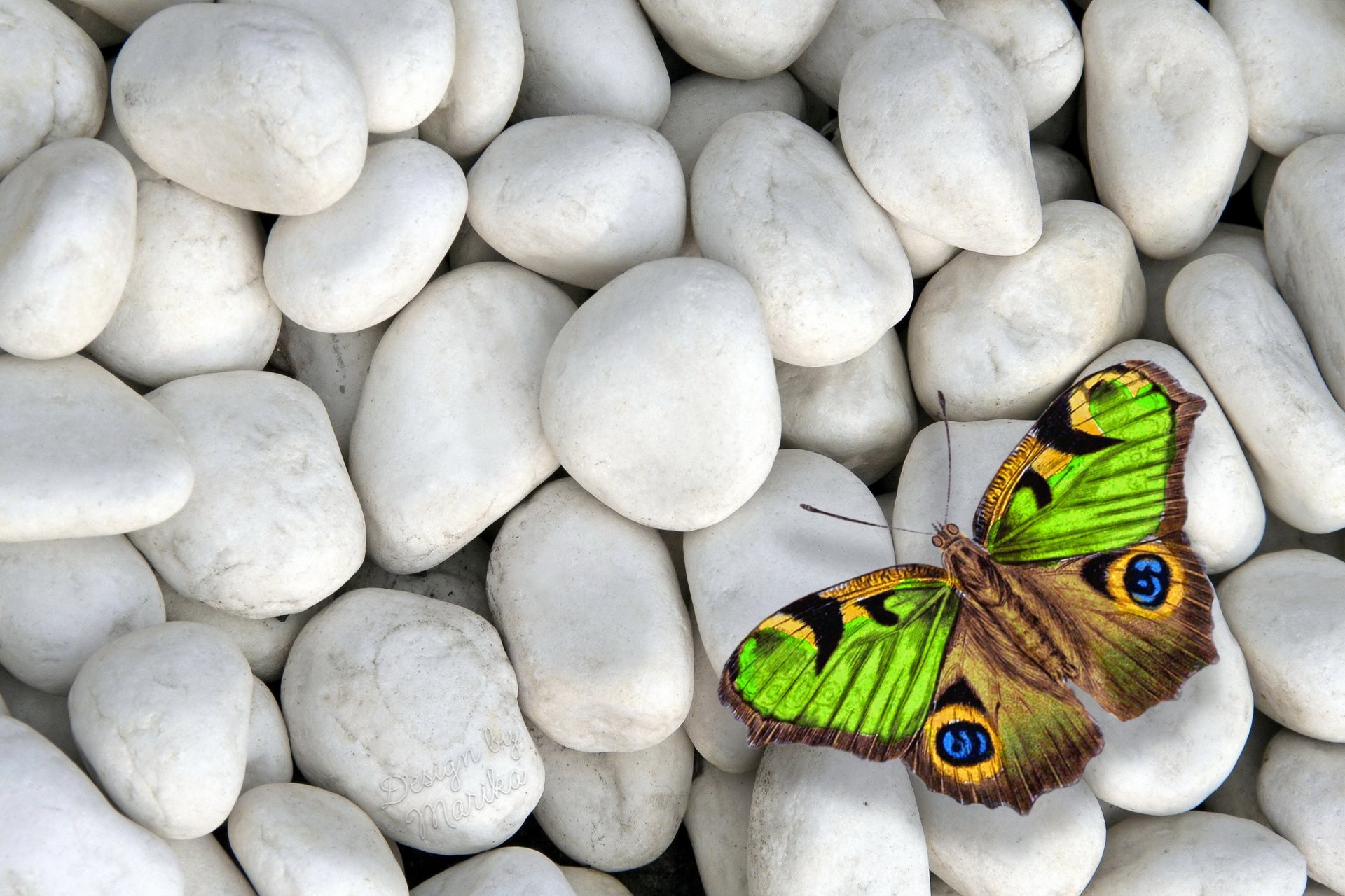 butterfly white stones colorful design by marika stone