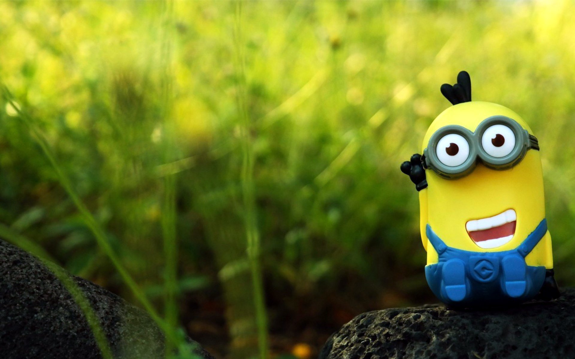 minion figur spielzeug natur erholung gruß positiv unschärfe bokeh makro hintergrundbilder