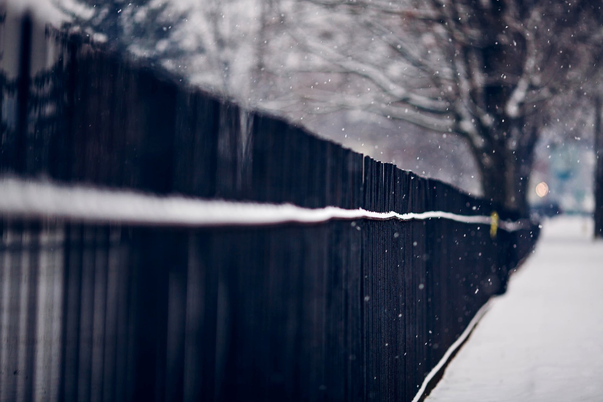 fence rods iron fence trees snow snowflakes winter nature macro