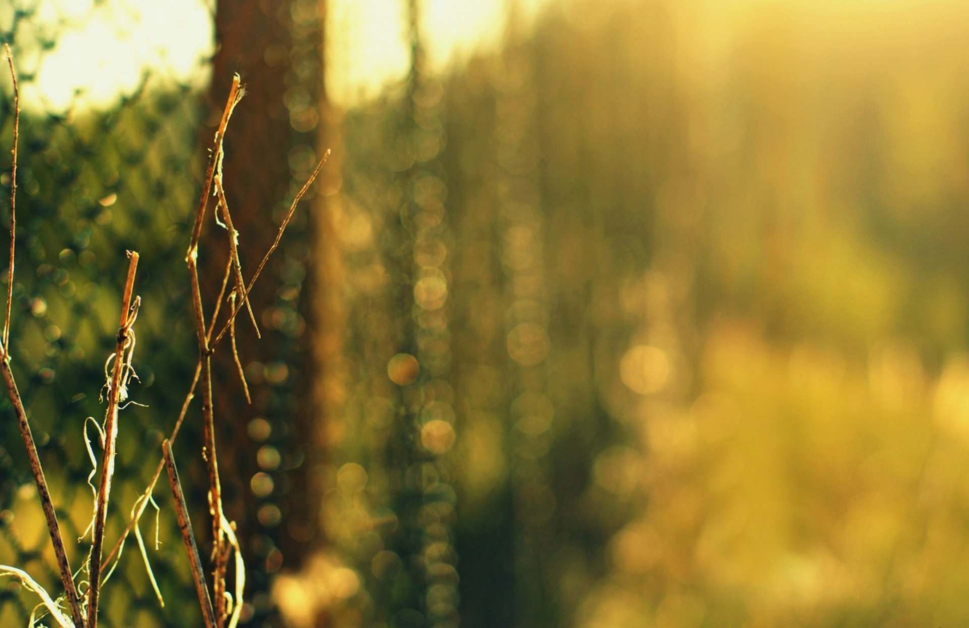 fence net grass green bush branches nature bokeh blur close up