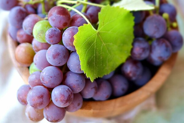 Ripe bunch of grapes in a bowl