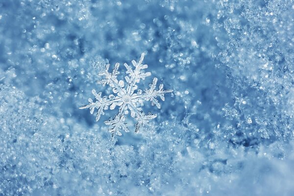 Très beau flocon de neige en hiver glacial