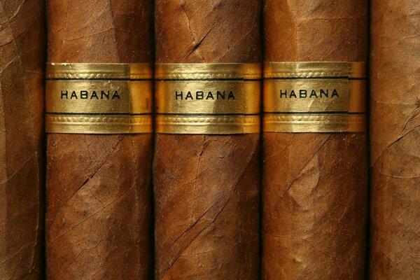 Brown Cuban cigars gold label close-up