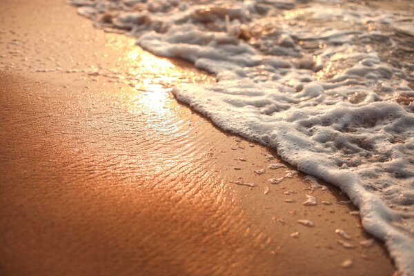 The tide is on the beach. Water with foam