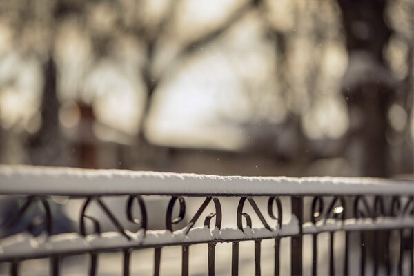 Snow-covered fence in the early morning