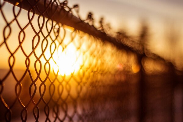 Widescreen wallpaper , fence at sunset