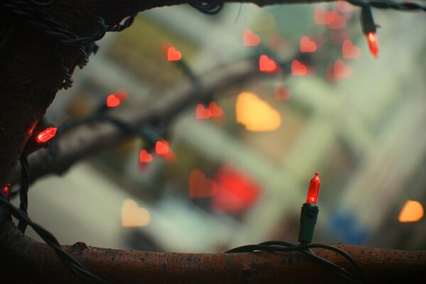 Hearts in lights on a festive tree