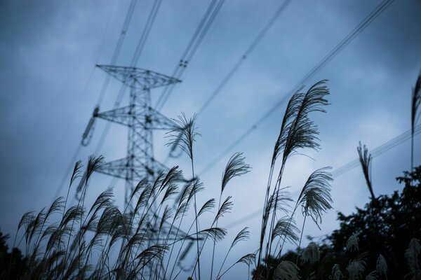 Lignes électriques sur fond de ciel gris