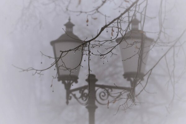 Zabytkowa latarnia Miejska we mgle