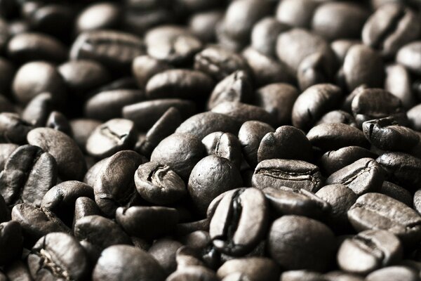 Fotografía macro de granos de café sobre un fondo borroso de granos