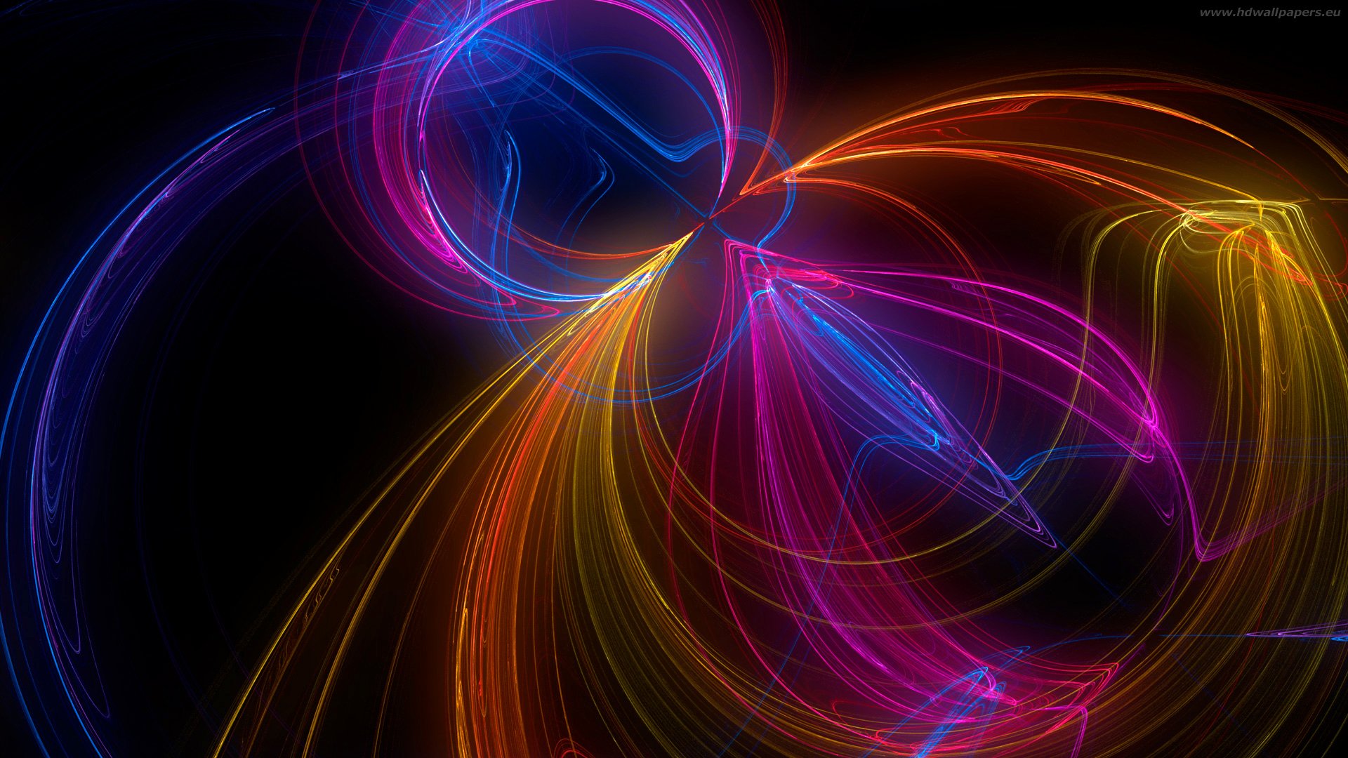 flowers light pattern line fractal