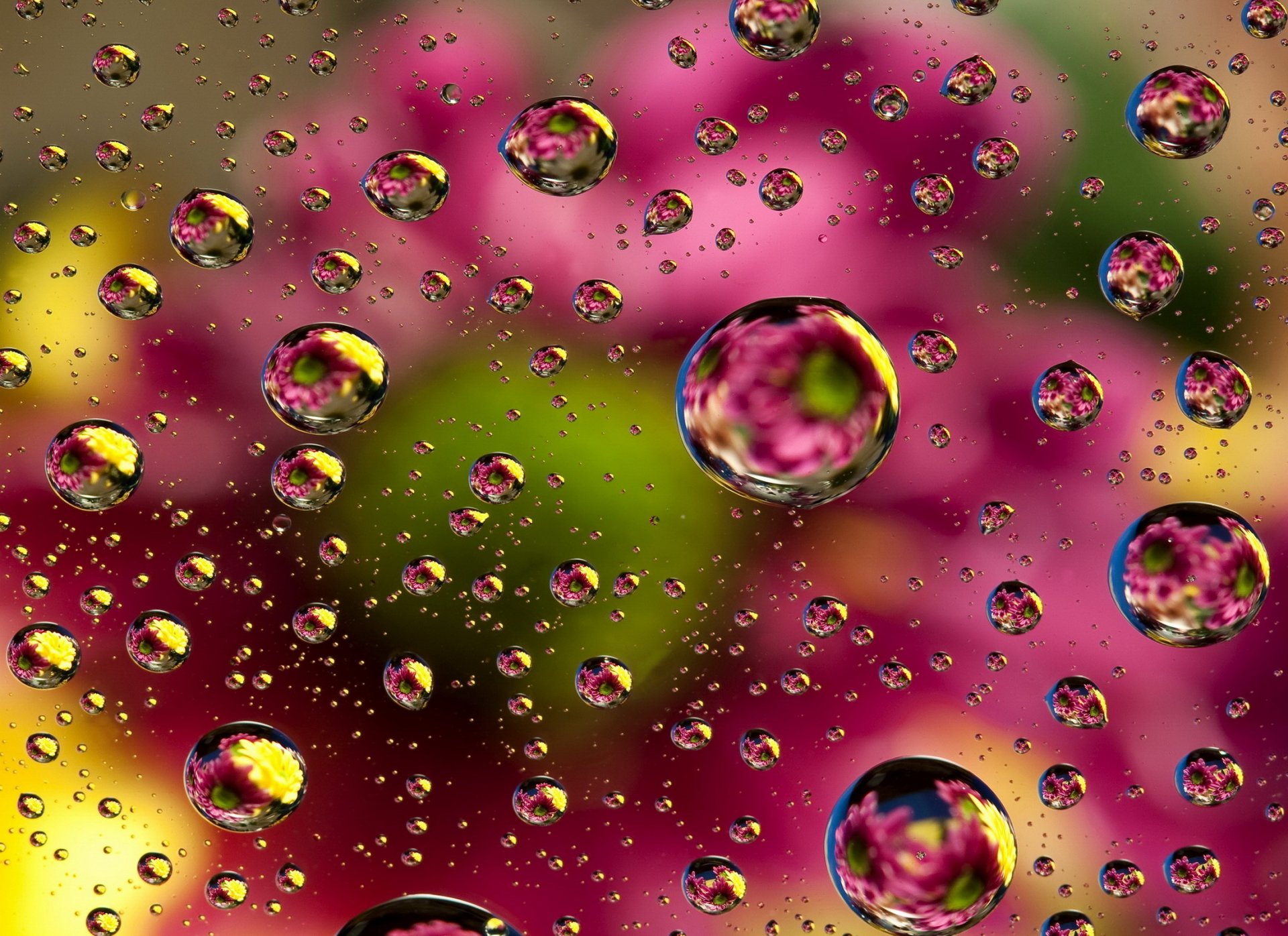 abstrait couleurs fond coloré floral bulles abstraction