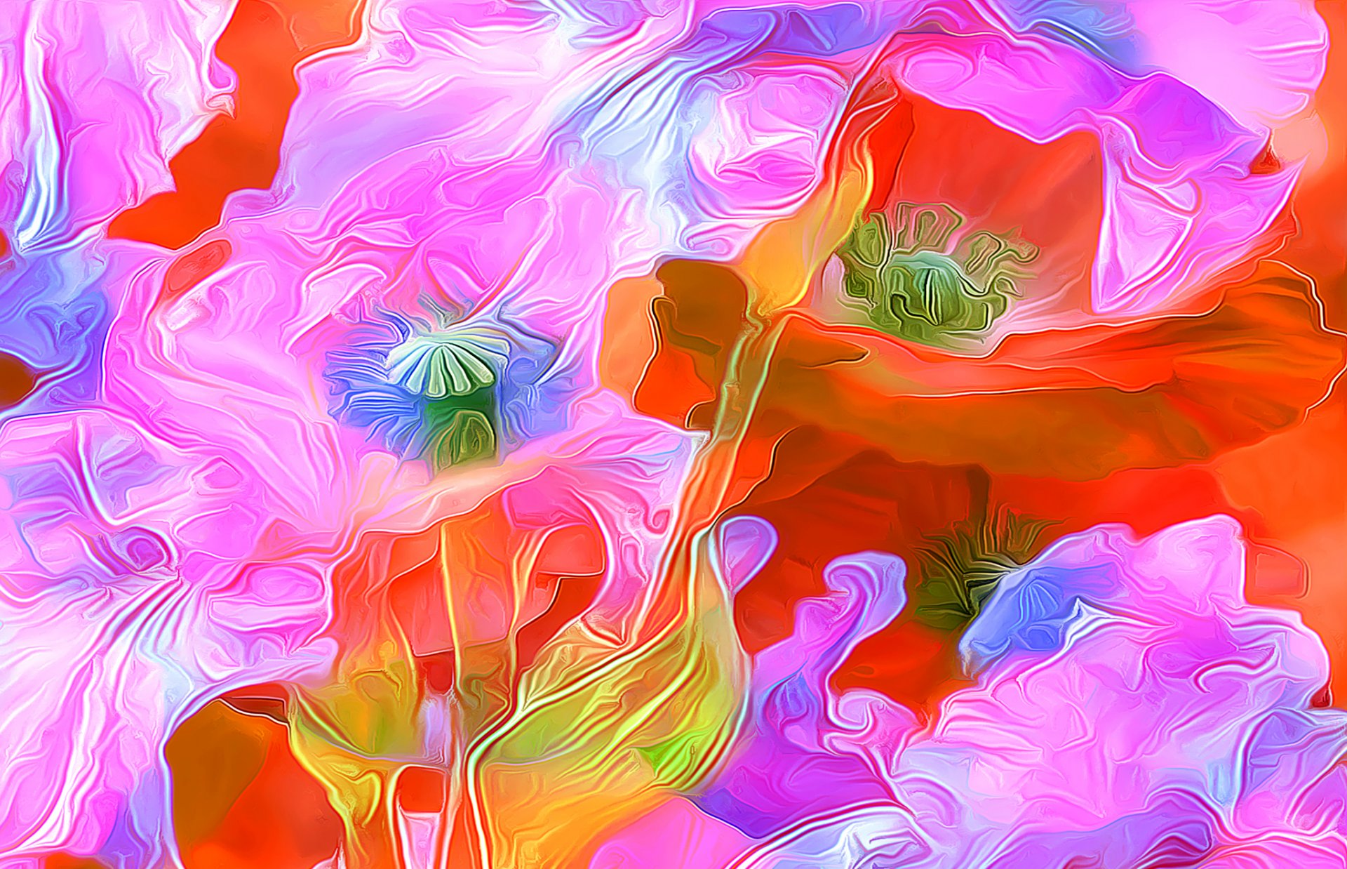 flower petals poppy line rendering