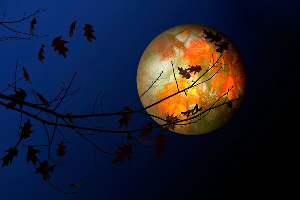 Notte d autunno. Luna piena