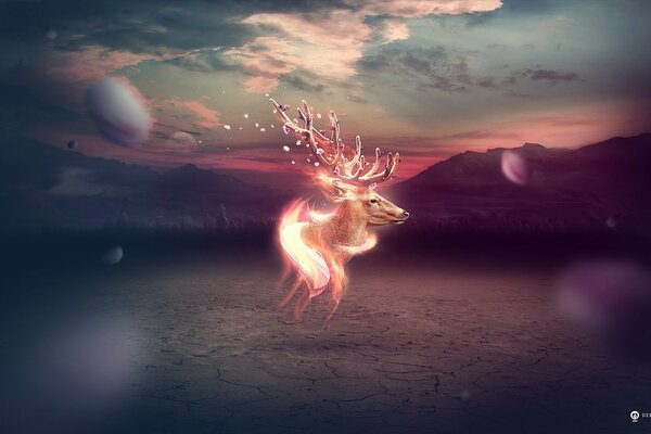 Deer with horns glows in the desert