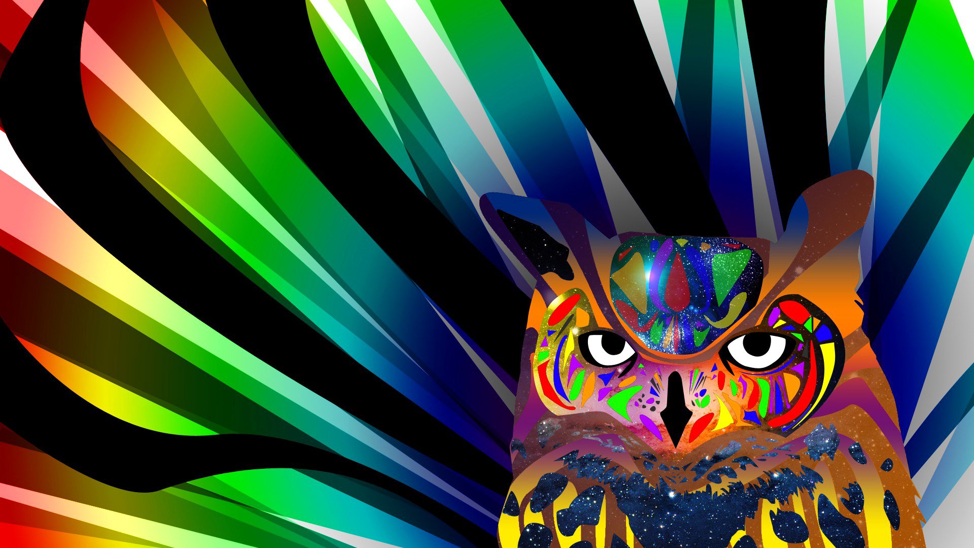 poultry owl flowers line paint eye