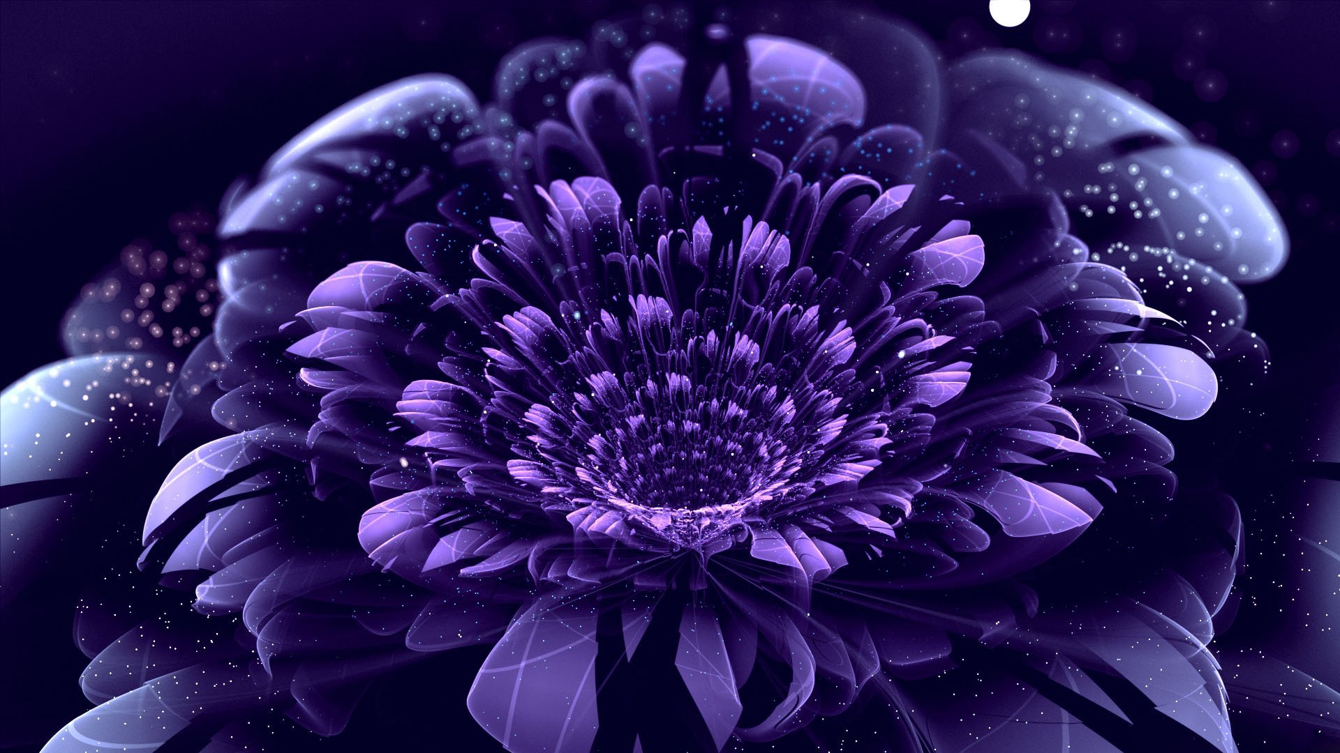 flower petals of following purple