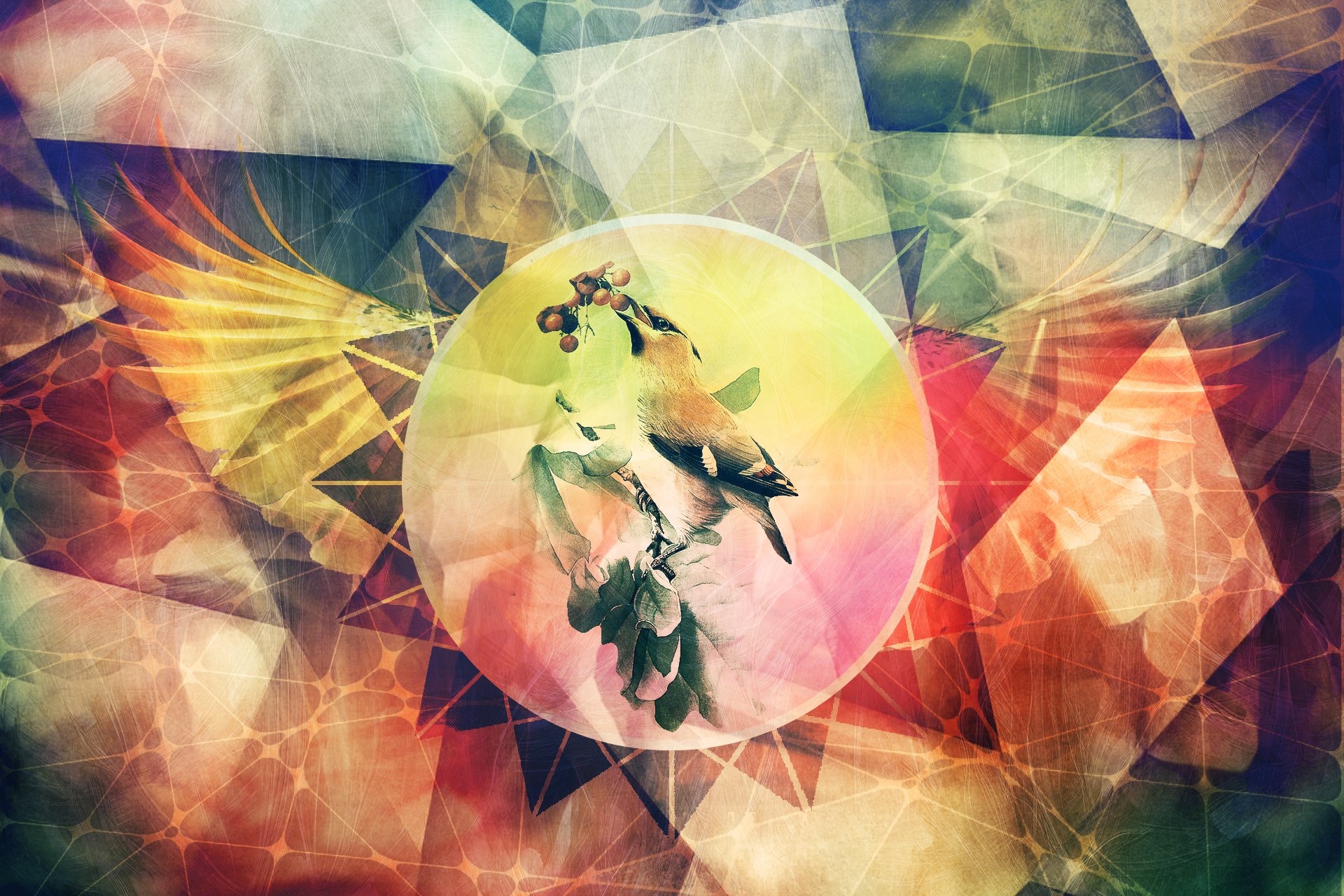 abstract poultry line grunge wings flowers the author s work photoshop