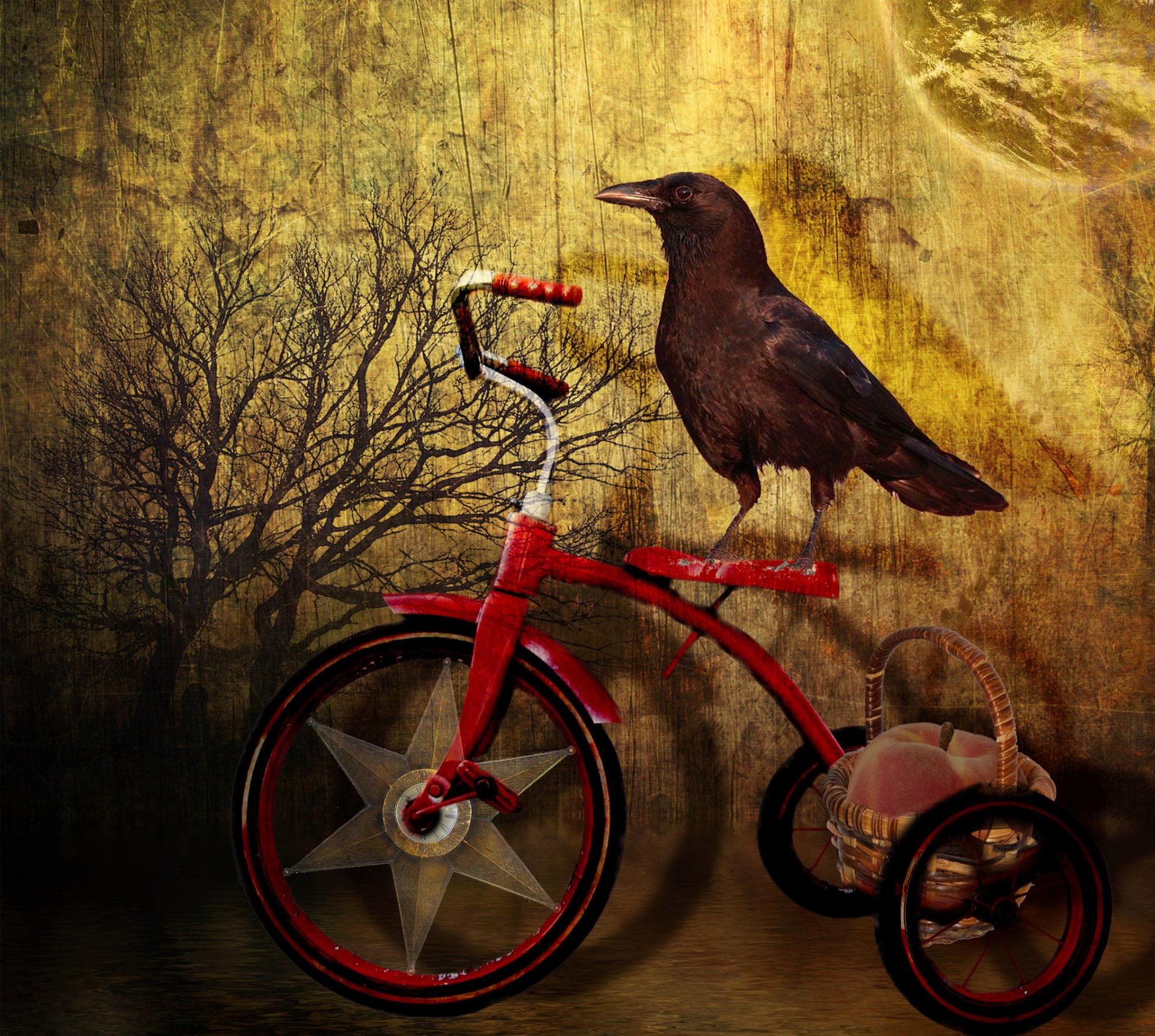 poultry raven bike tree basket peach