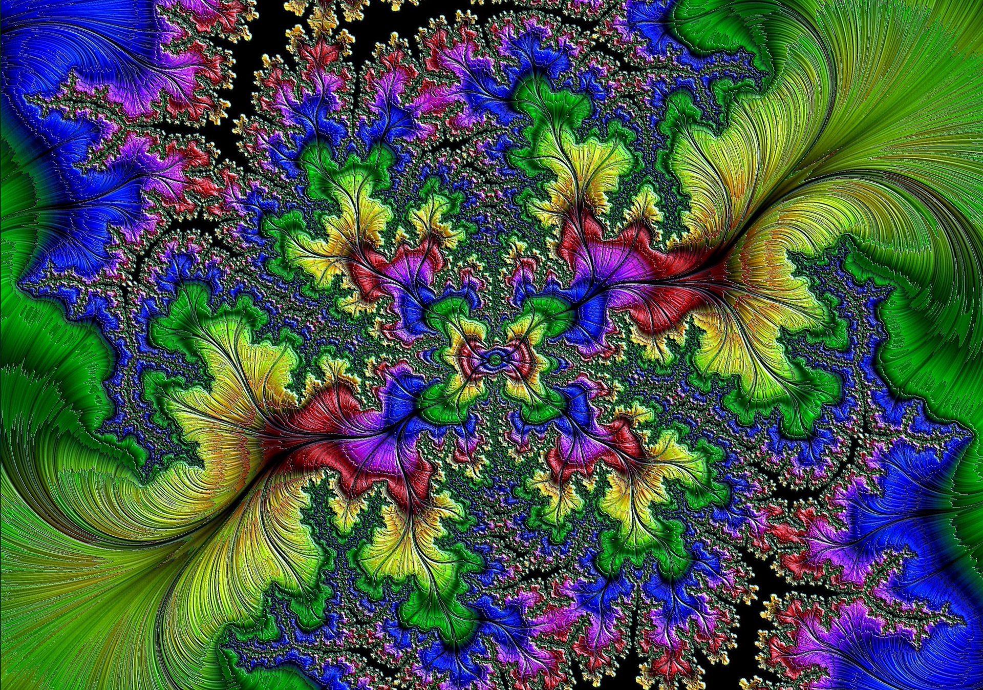 couleur motif pétales symétrie relief volume